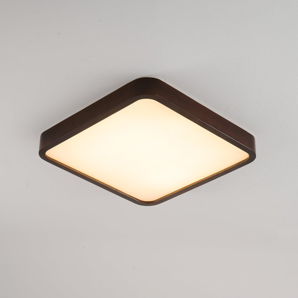 Lira Rectangular Ceiling Light by FIFTH & BEAM — product view 15