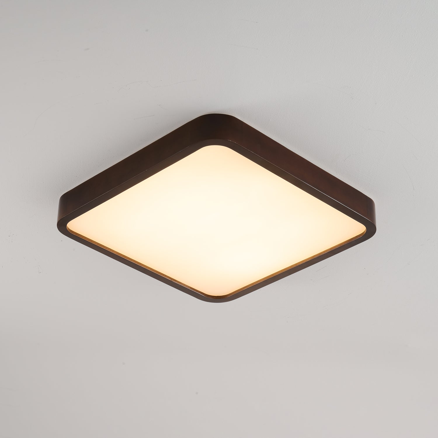 Lira Rectangular Ceiling Light by FIFTH & BEAM — product view 15