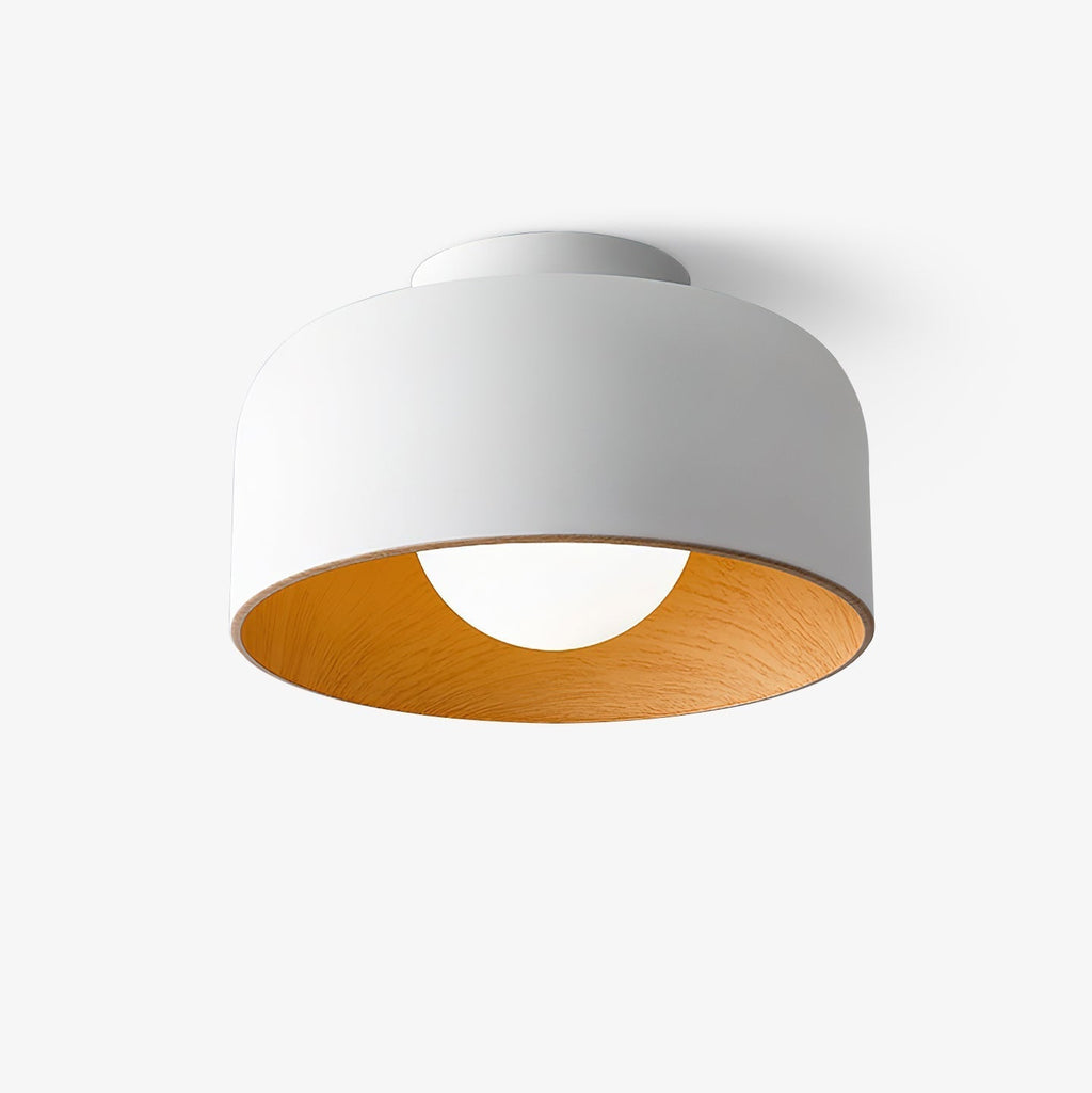 Lumosphere Ceiling Light by FIFTH & BEAM — product view 1