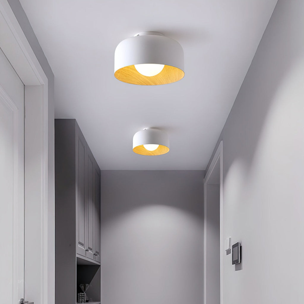 Lumosphere Ceiling Light by FIFTH & BEAM — product view 2