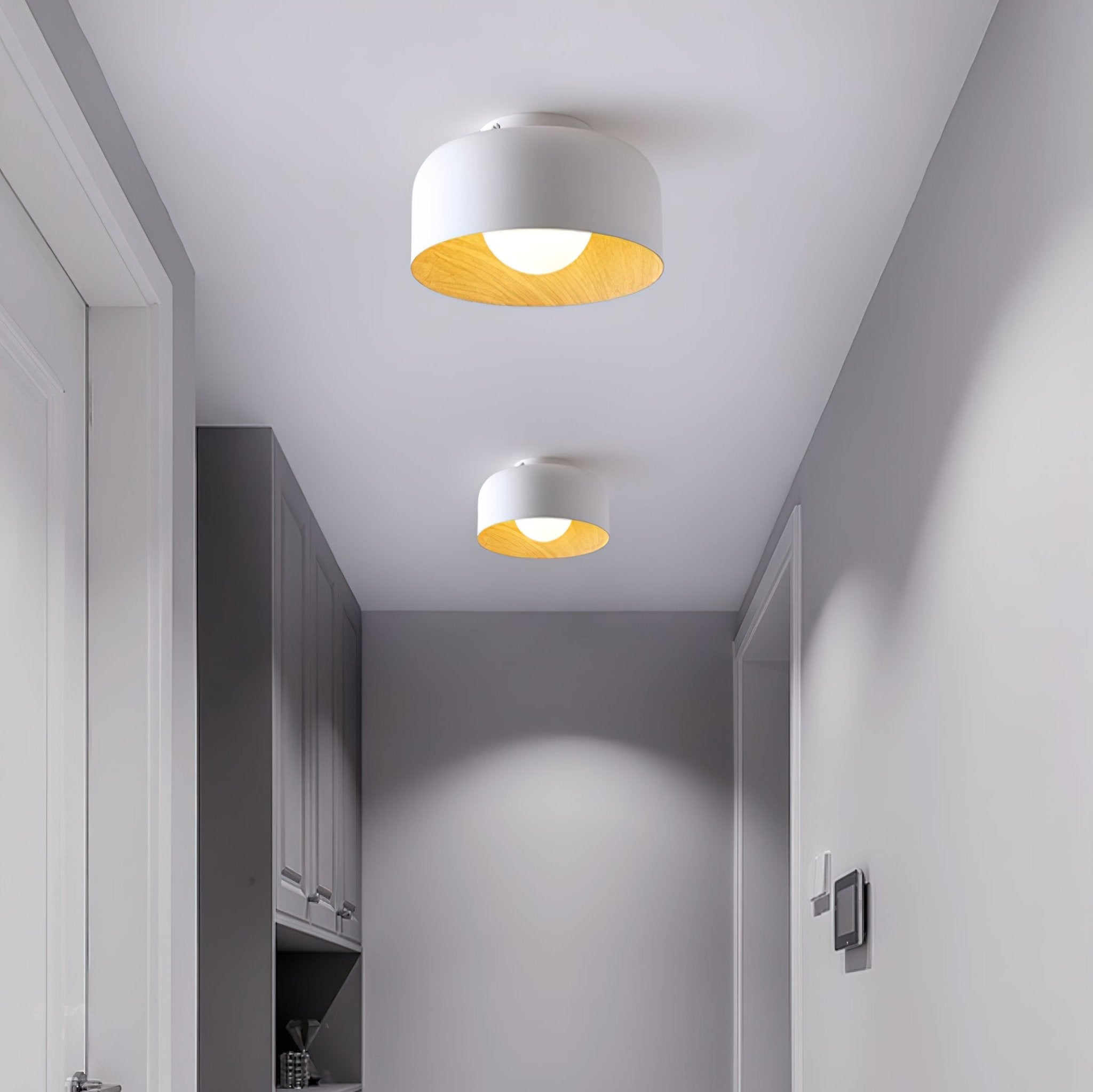 Lumosphere Ceiling Light by FIFTH & BEAM — product view 2