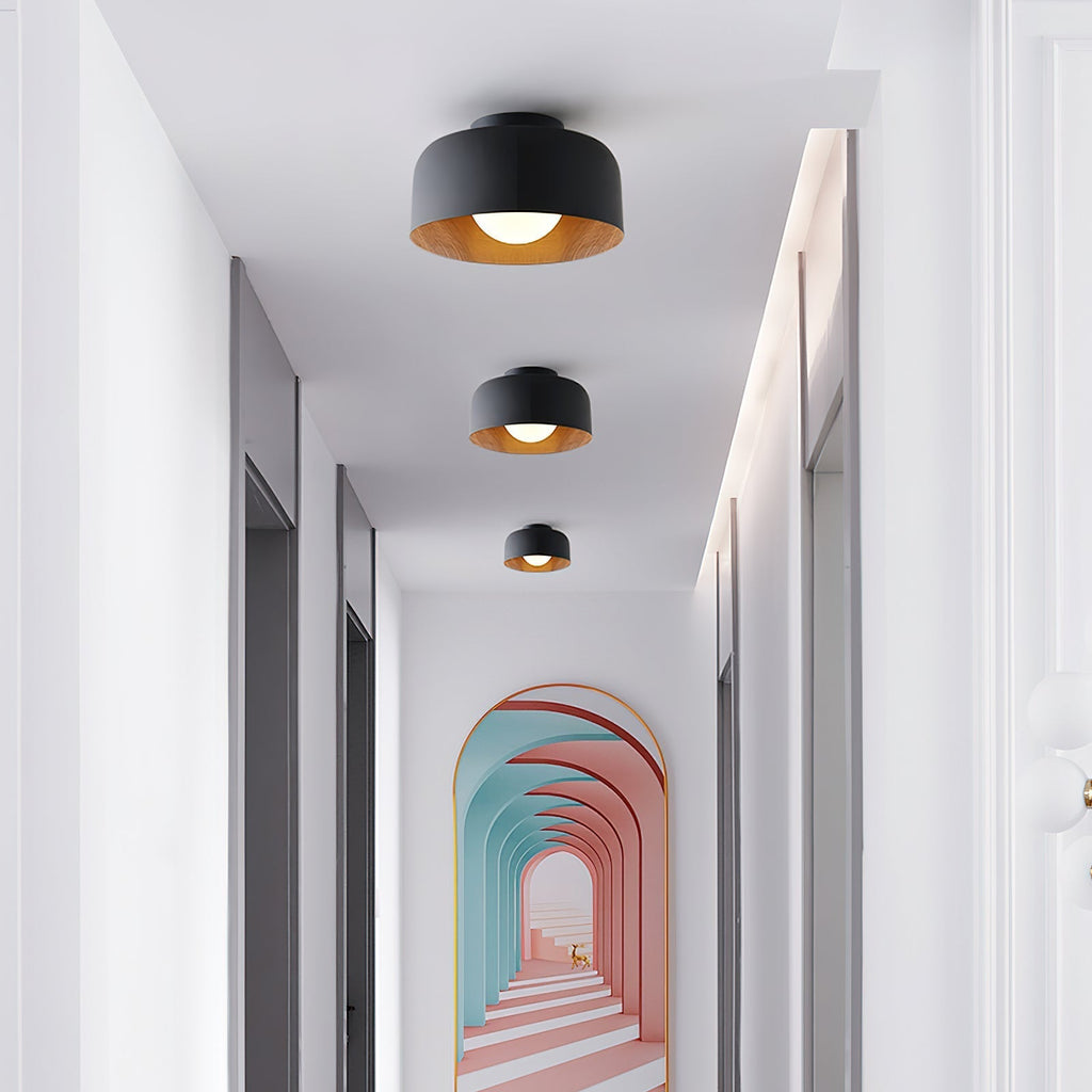 Lumosphere Ceiling Light by FIFTH & BEAM — product view 24