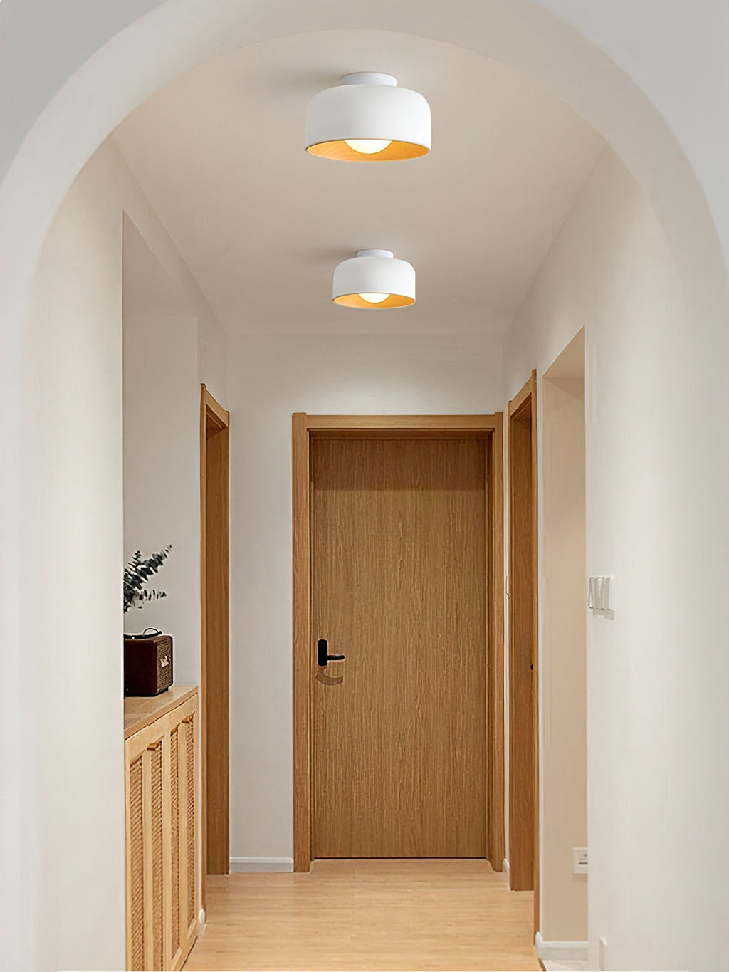 Lumosphere Ceiling Light by FIFTH & BEAM — product view 30