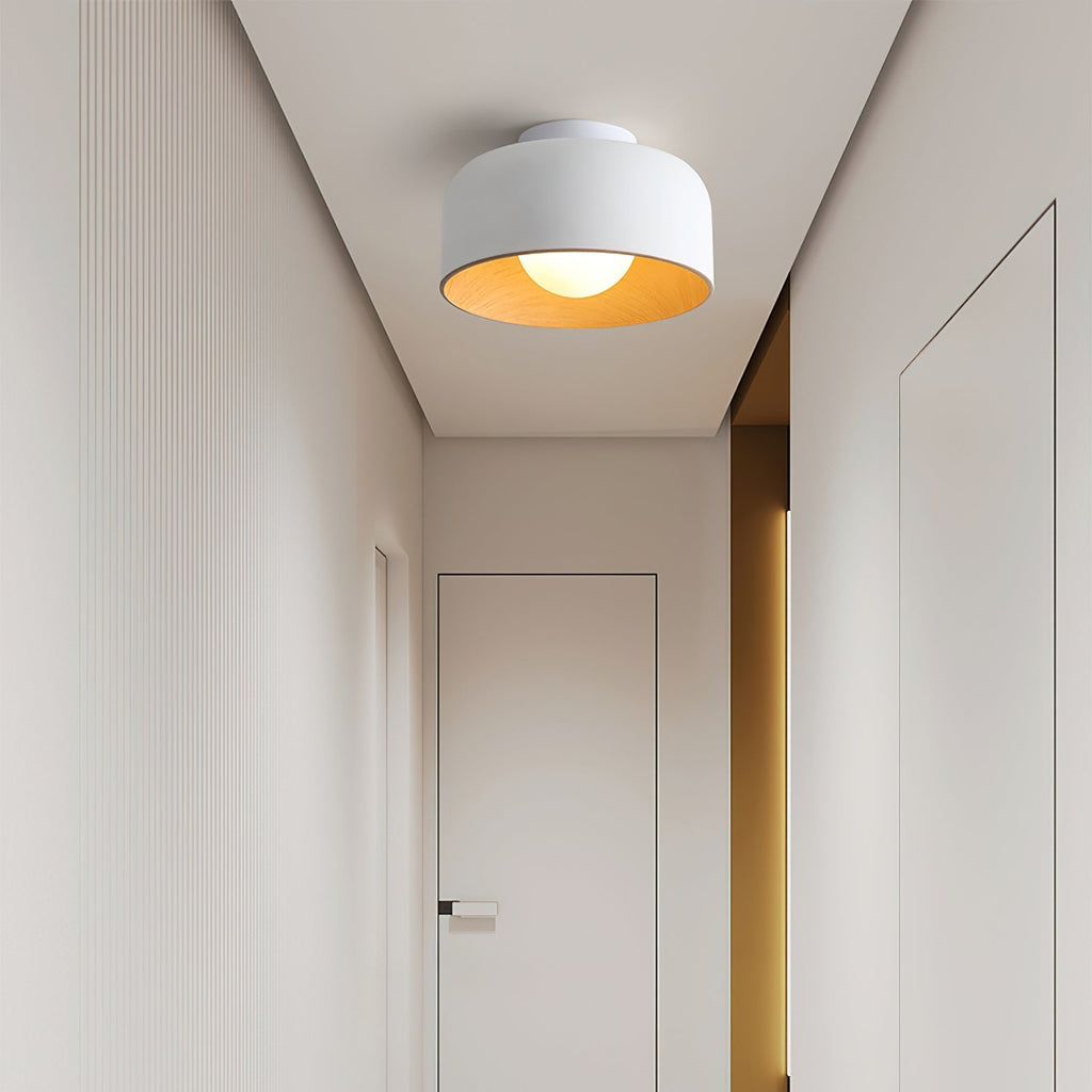 Lumosphere Ceiling Light by FIFTH & BEAM — product view 9