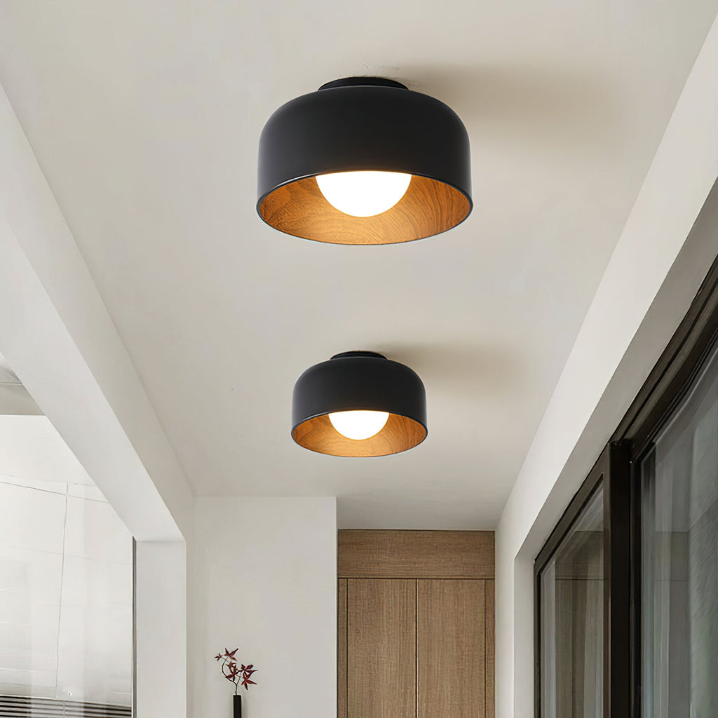 Lumosphere Ceiling Light by FIFTH & BEAM — product view 31