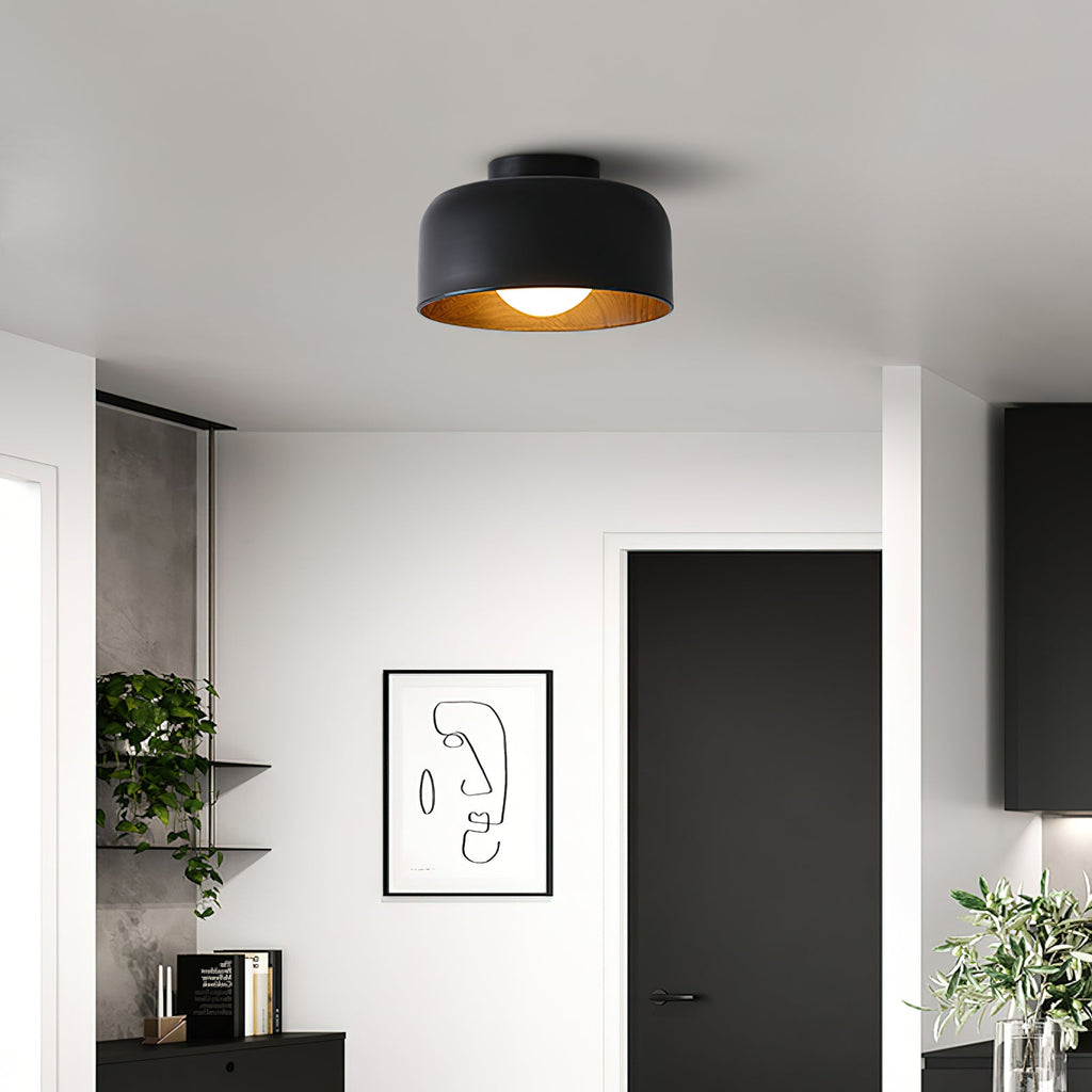 Lumosphere Ceiling Light by FIFTH & BEAM — product view 32