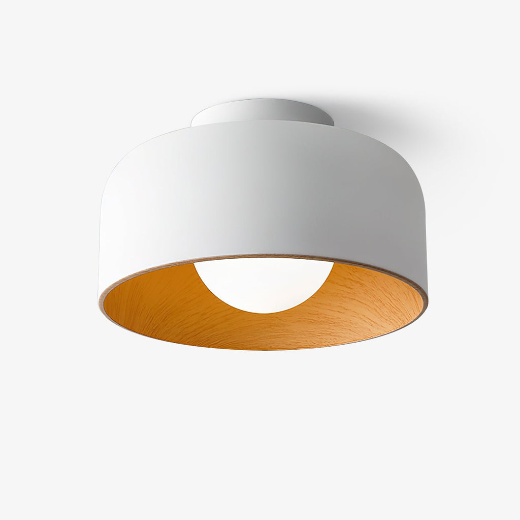 Lumosphere Ceiling Light by FIFTH & BEAM — product view 8