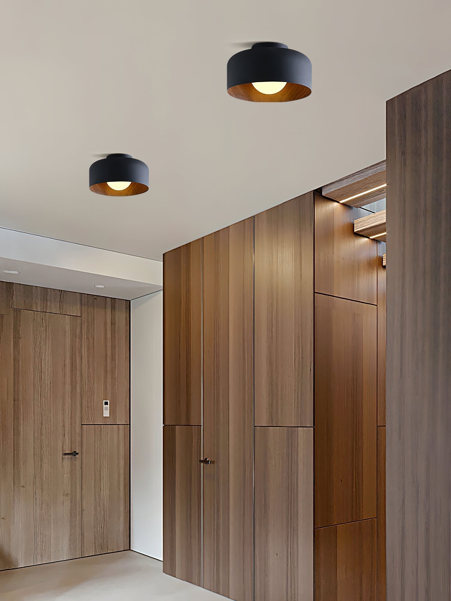 Lumosphere Ceiling Light by FIFTH & BEAM — product view 34