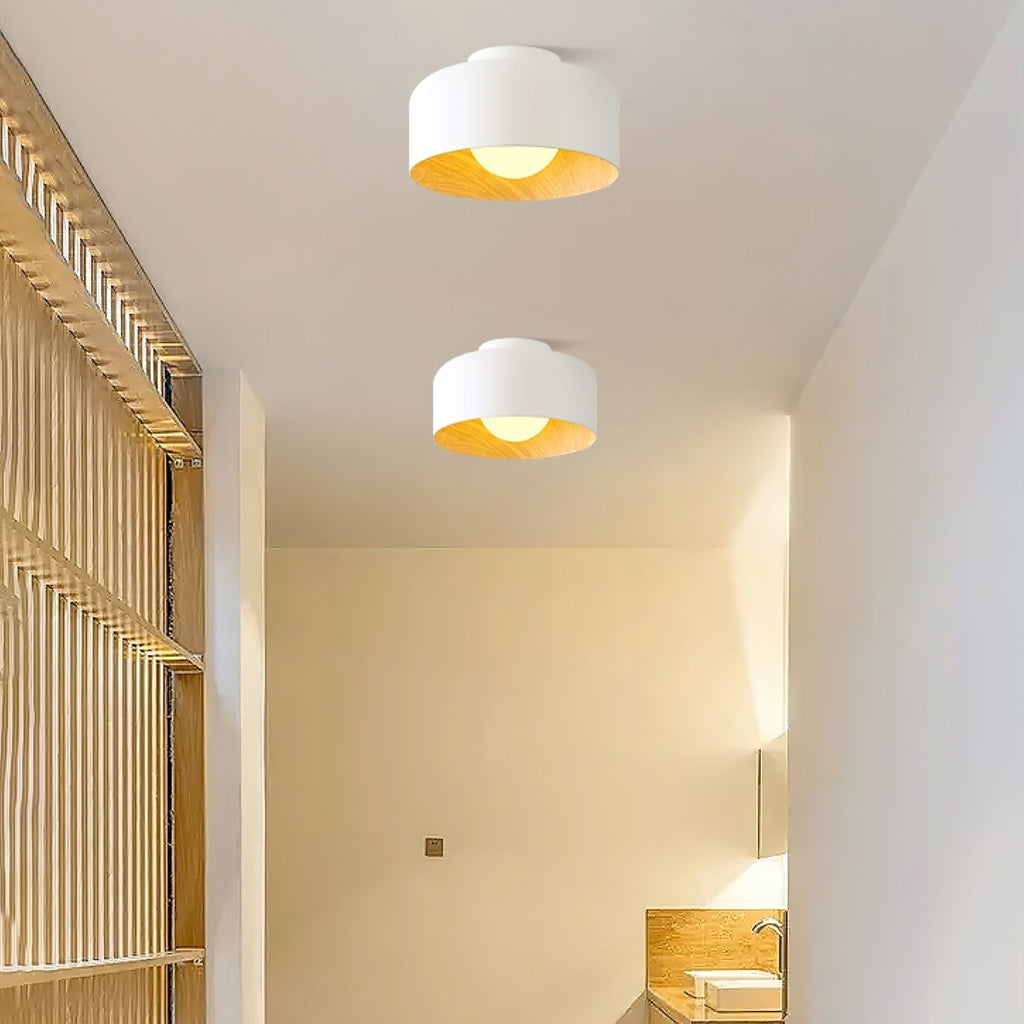 Lumosphere Ceiling Light by FIFTH & BEAM — product view 35