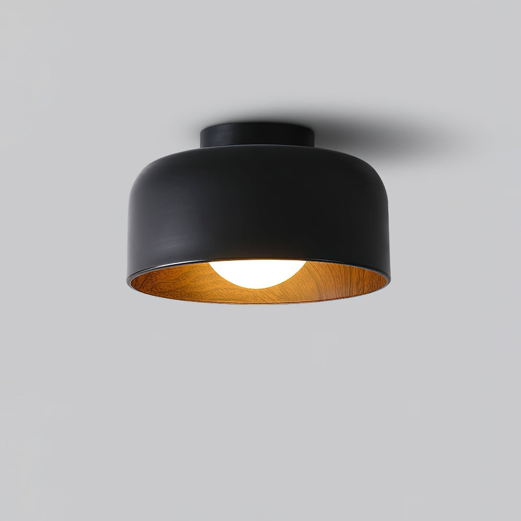 Lumosphere Ceiling Light by FIFTH & BEAM — product view 14