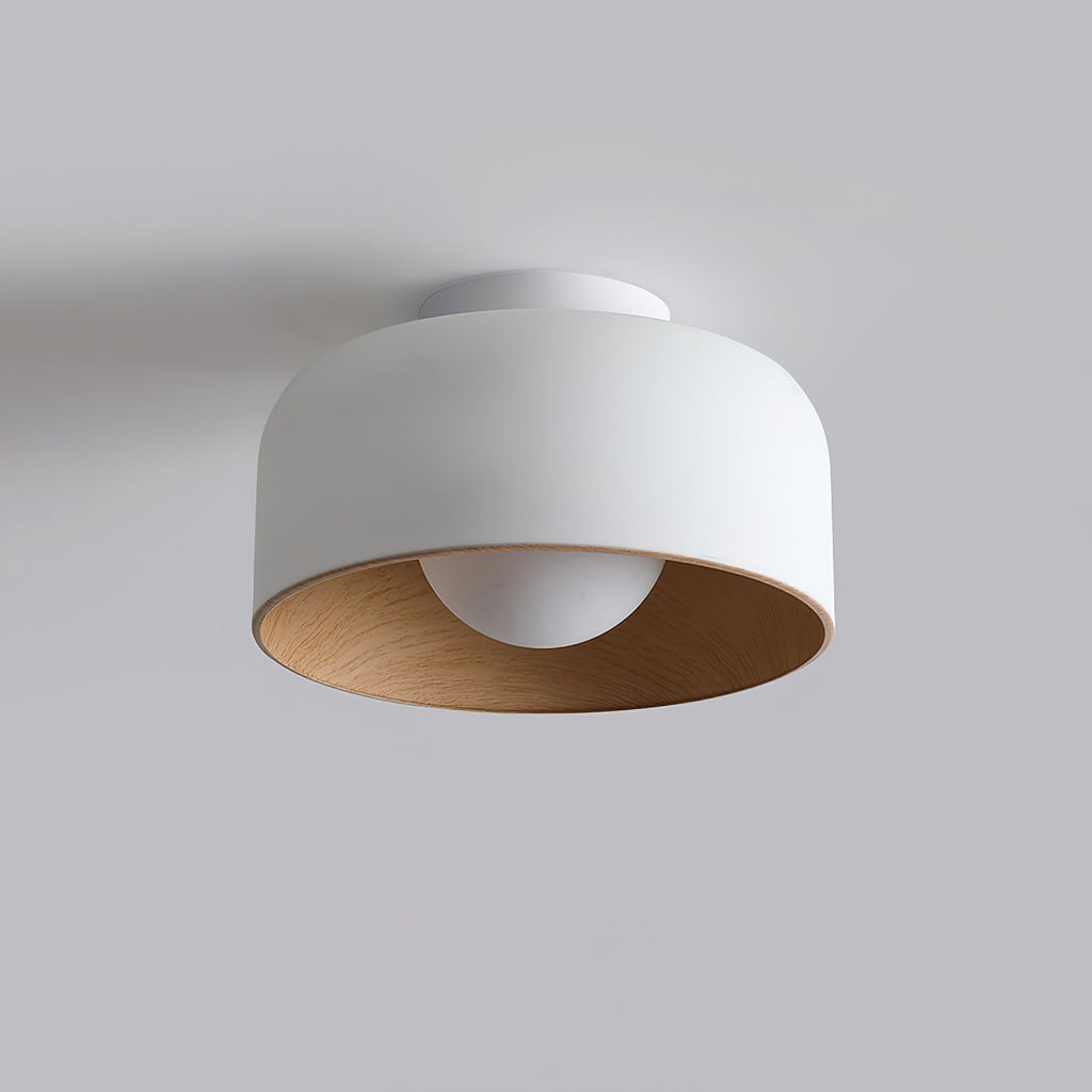 Lumosphere Ceiling Light by FIFTH & BEAM — product view 17