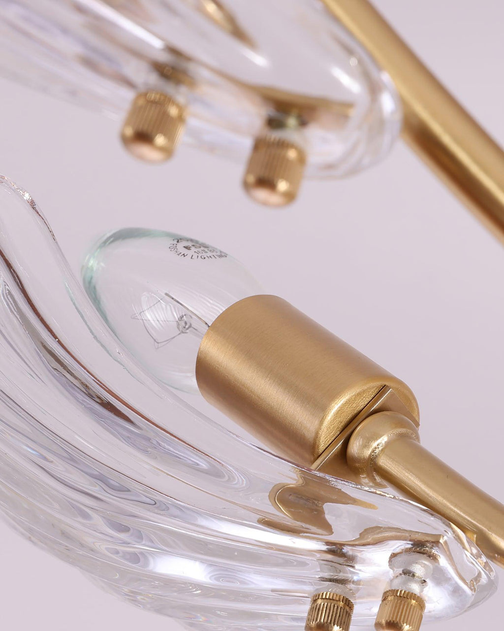 Luxury Shell Brass Ceiling Lamp by FIFTH & BEAM — product view 23