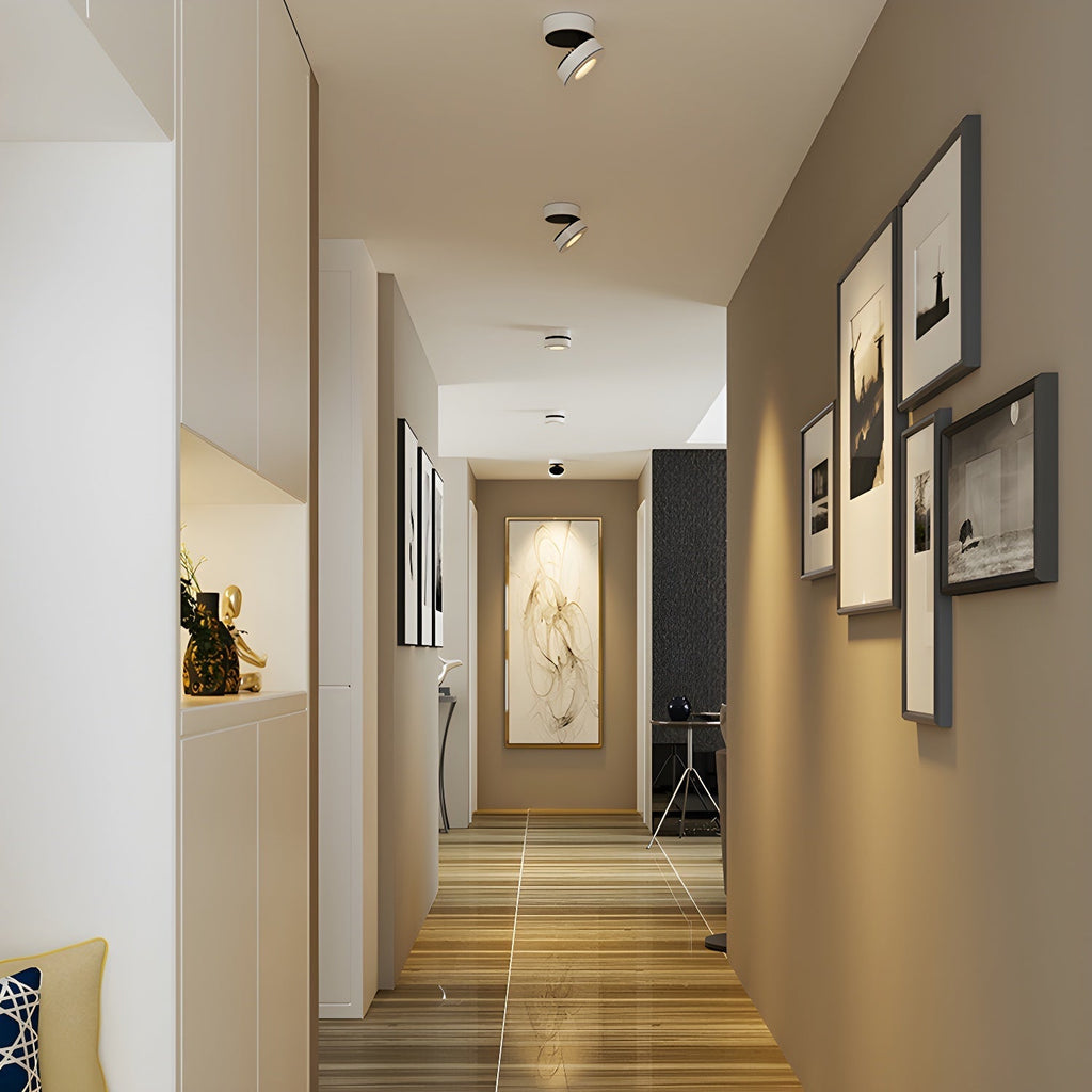 Lyric Adjustable Surface Downlight by FIFTH & BEAM — product view 6