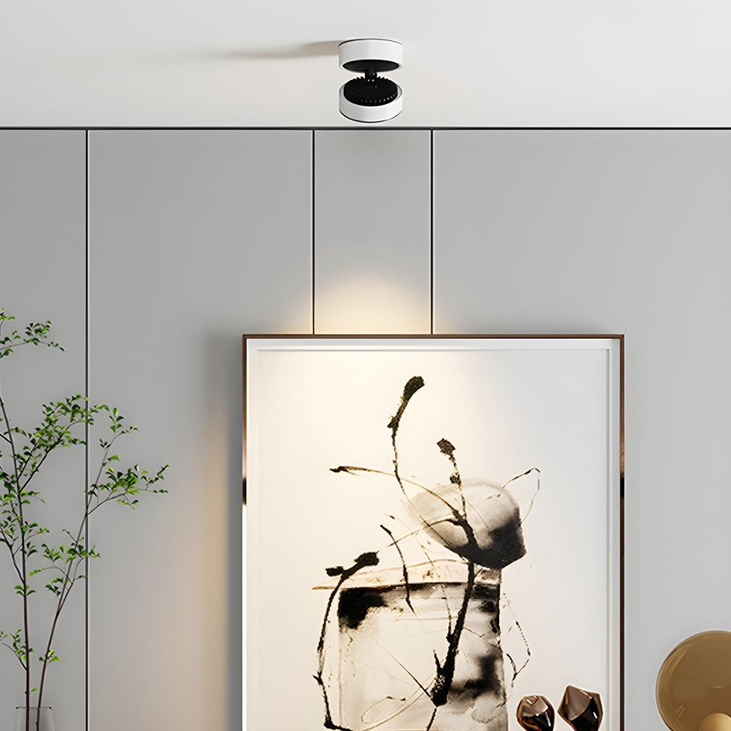 Lyric Adjustable Surface Downlight by FIFTH & BEAM — product view 12
