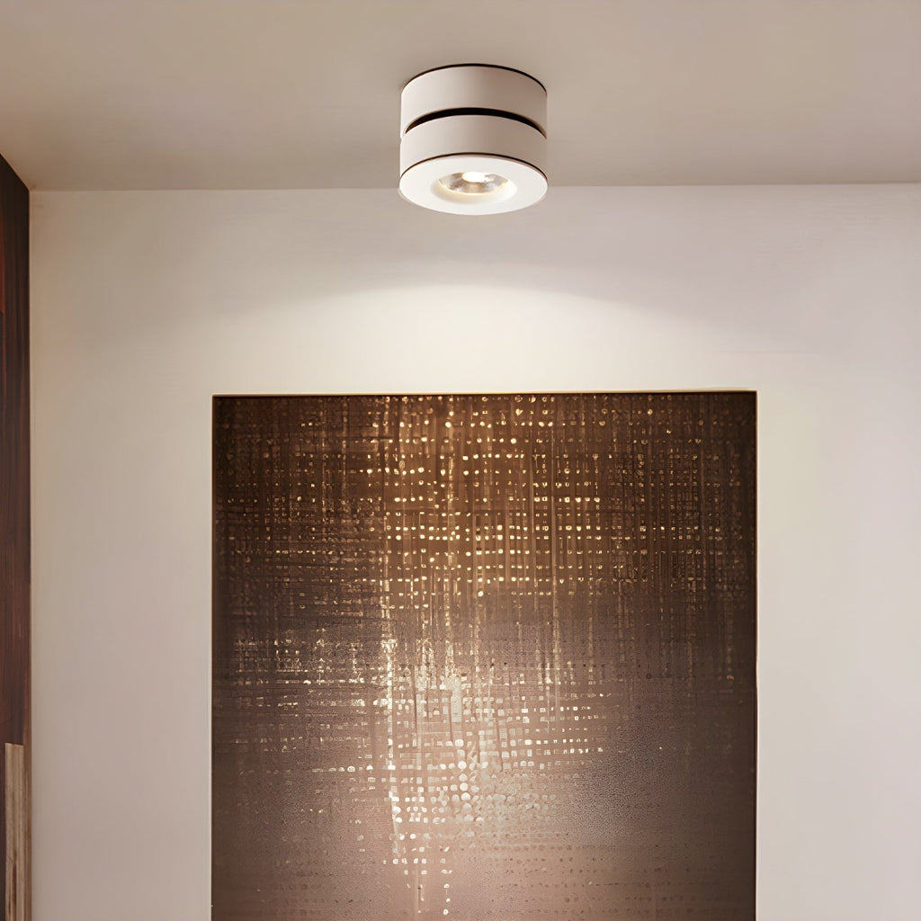 Lyric Adjustable Surface Downlight by FIFTH & BEAM — product view 11
