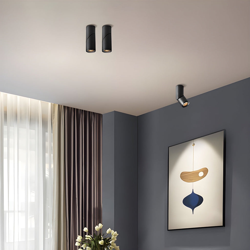 Maxwell Pivot Surface Downlight by FIFTH & BEAM — product view 12