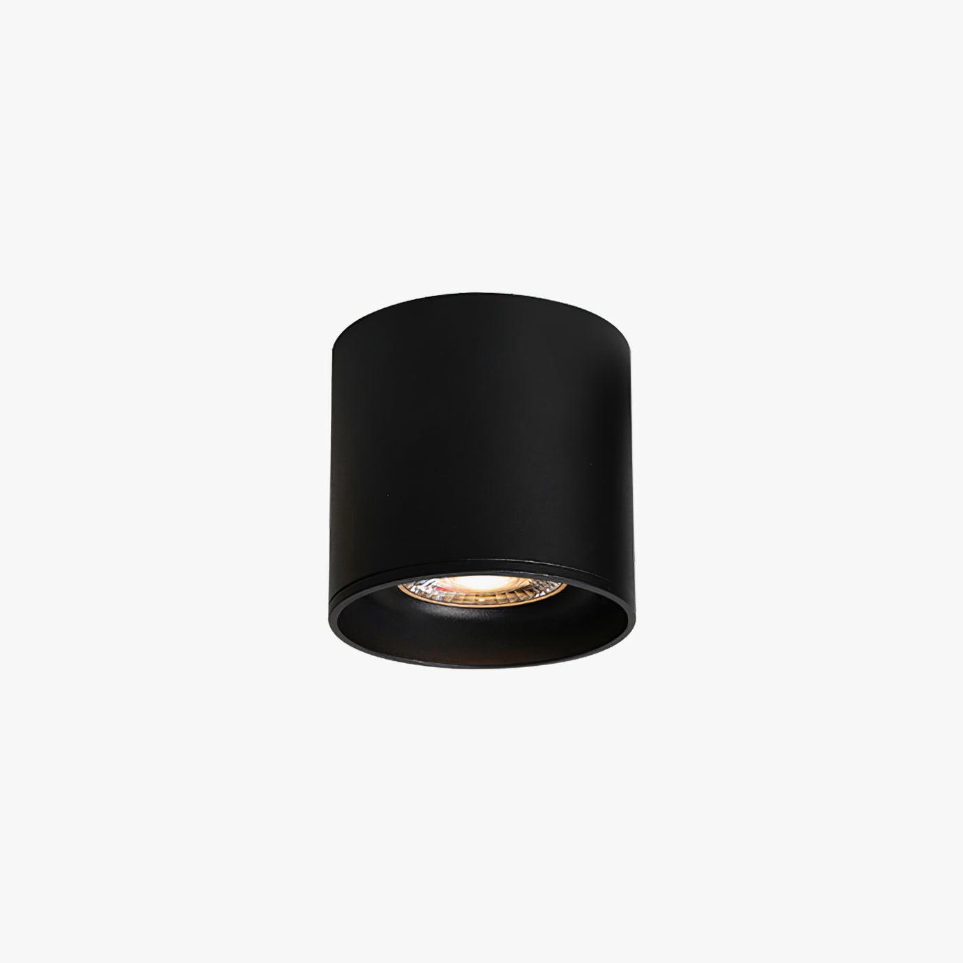Modupoint Ceiling Light by FIFTH & BEAM — product view 13