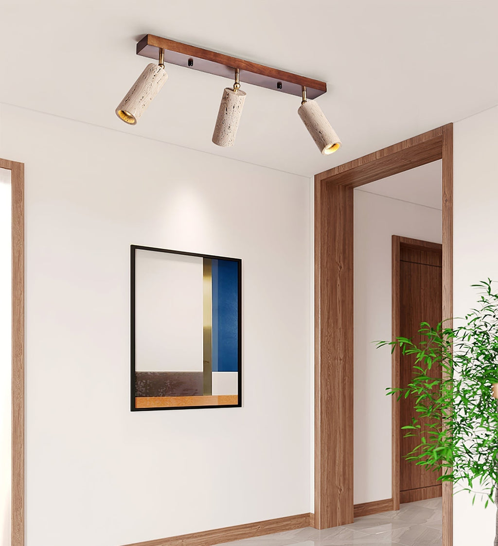 Nimbus Ceiling Spotlight by FIFTH & BEAM — product view 7