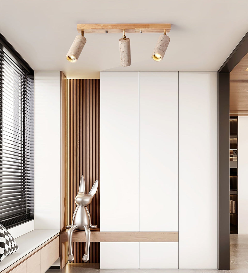 Nimbus Ceiling Spotlight by FIFTH & BEAM — product view 11