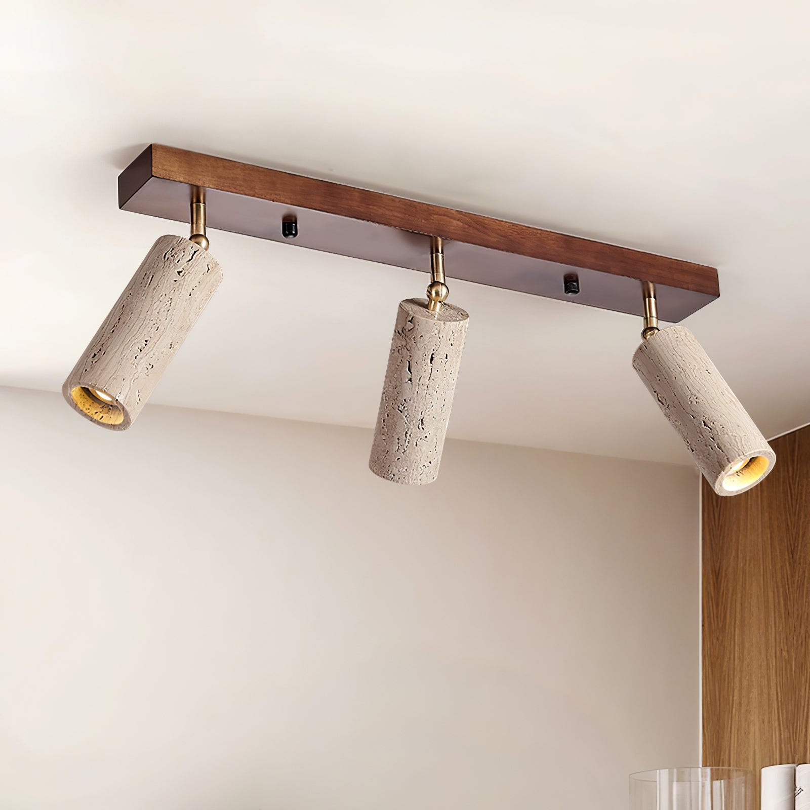 Nimbus Ceiling Spotlight by FIFTH & BEAM — product view 12