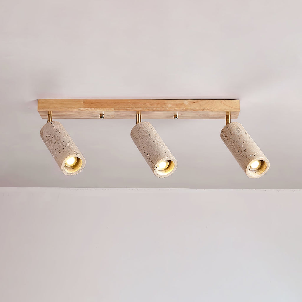 Nimbus Ceiling Spotlight by FIFTH & BEAM — product view 18