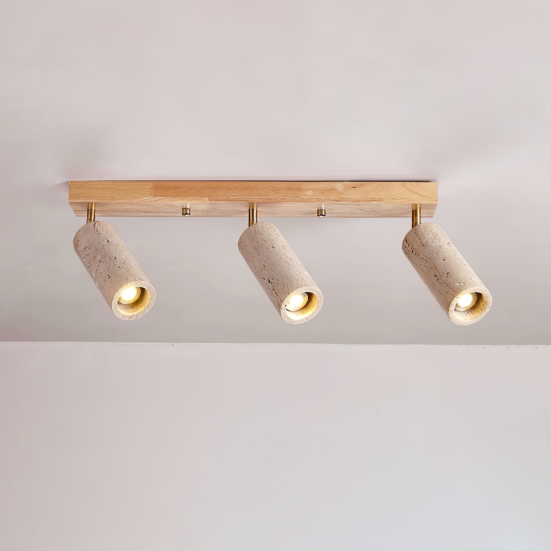 Nimbus Ceiling Spotlight by FIFTH & BEAM — product view 18