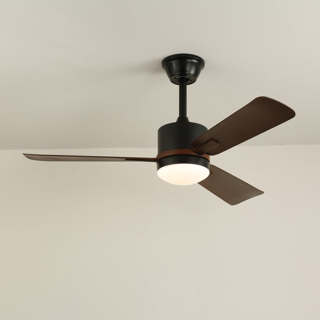 Nimora Ceiling Fan Light by FIFTH & BEAM — product view 14
