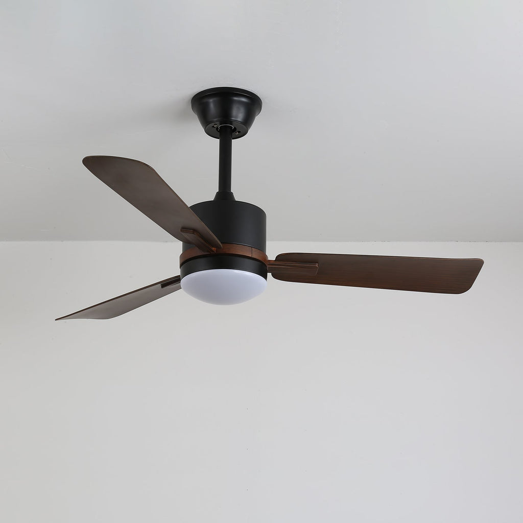 Nimora Ceiling Fan Light by FIFTH & BEAM — product view 9