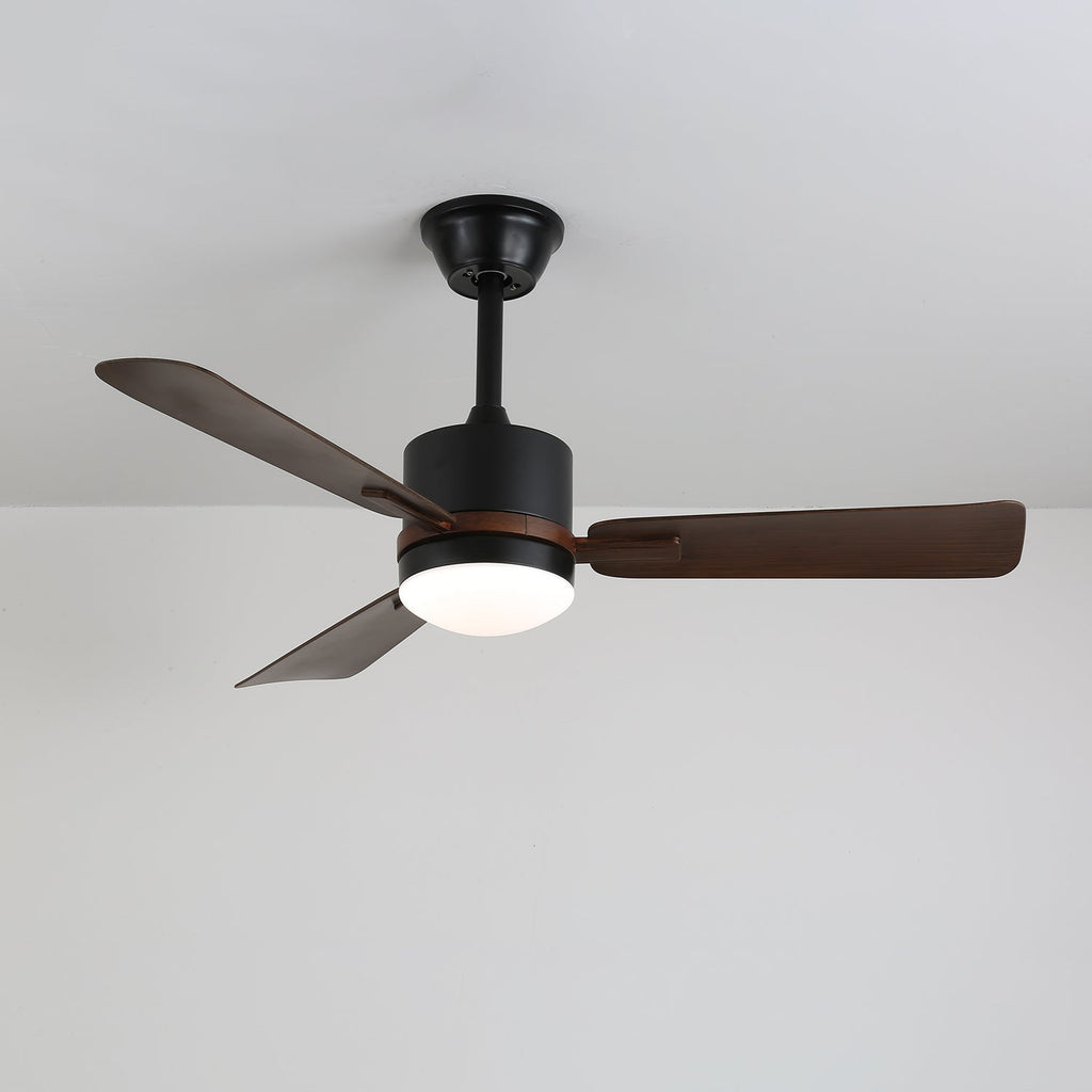 Nimora Ceiling Fan Light by FIFTH & BEAM — product view 10