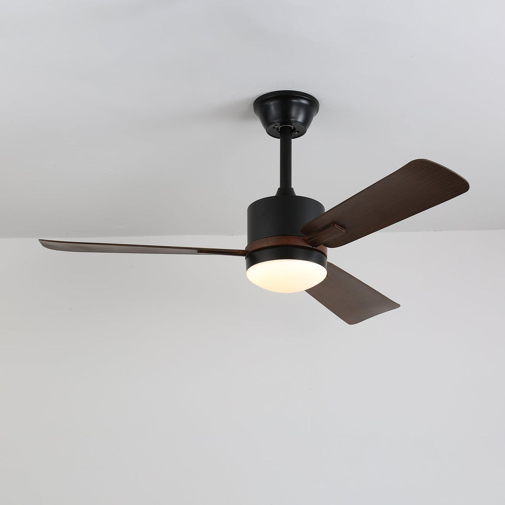 Nimora Ceiling Fan Light by FIFTH & BEAM — product view 11