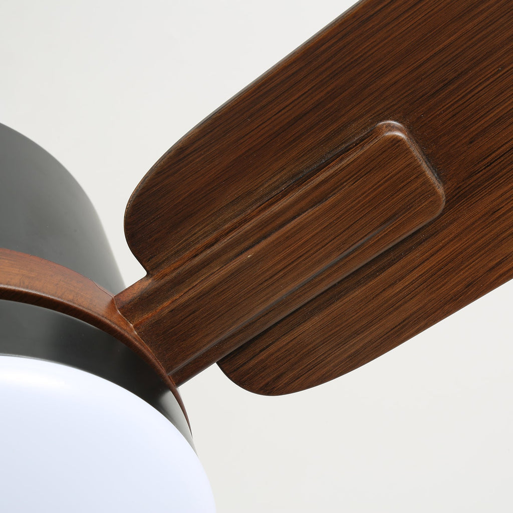 Nimora Ceiling Fan Light by FIFTH & BEAM — product view 3