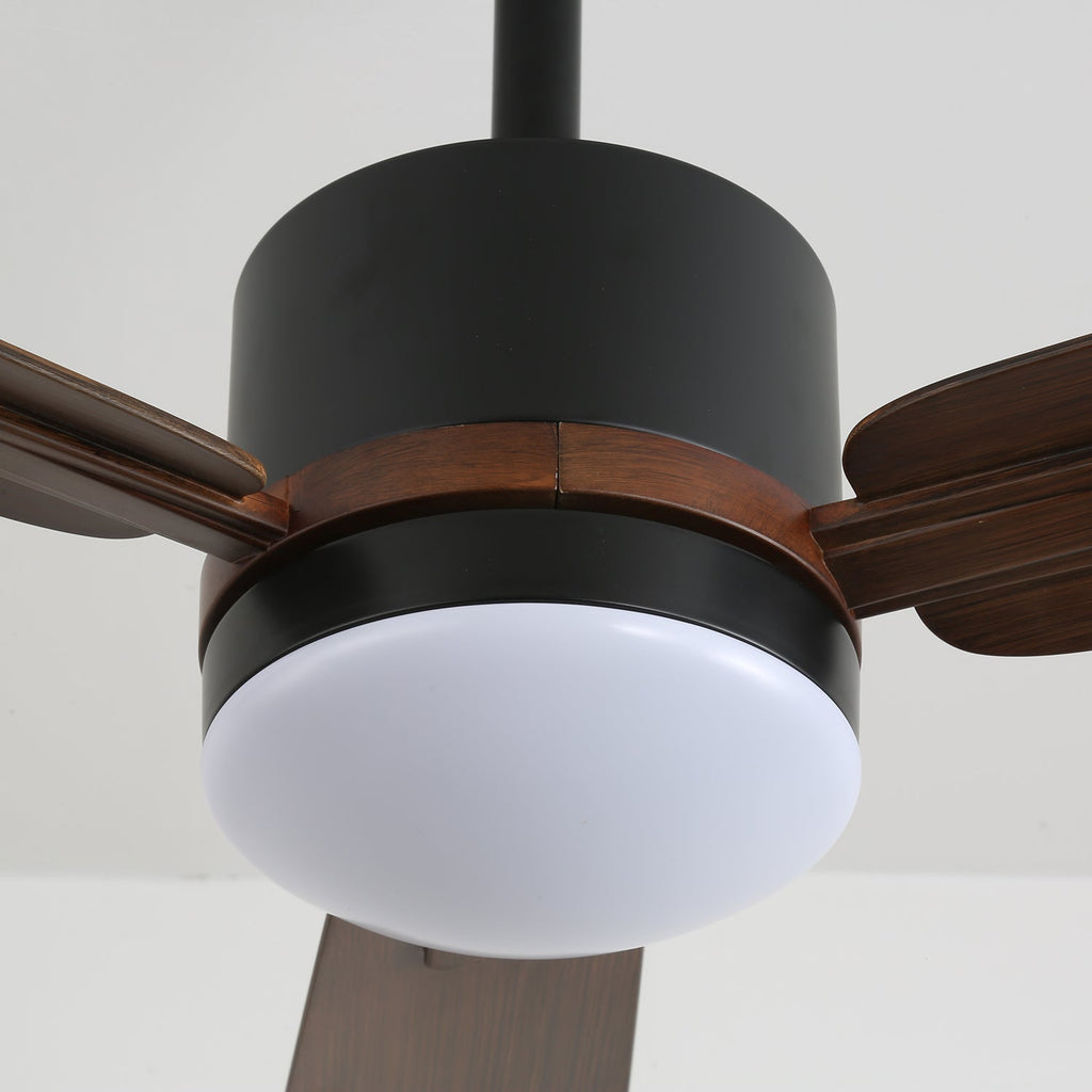 Nimora Ceiling Fan Light by FIFTH & BEAM — product view 4