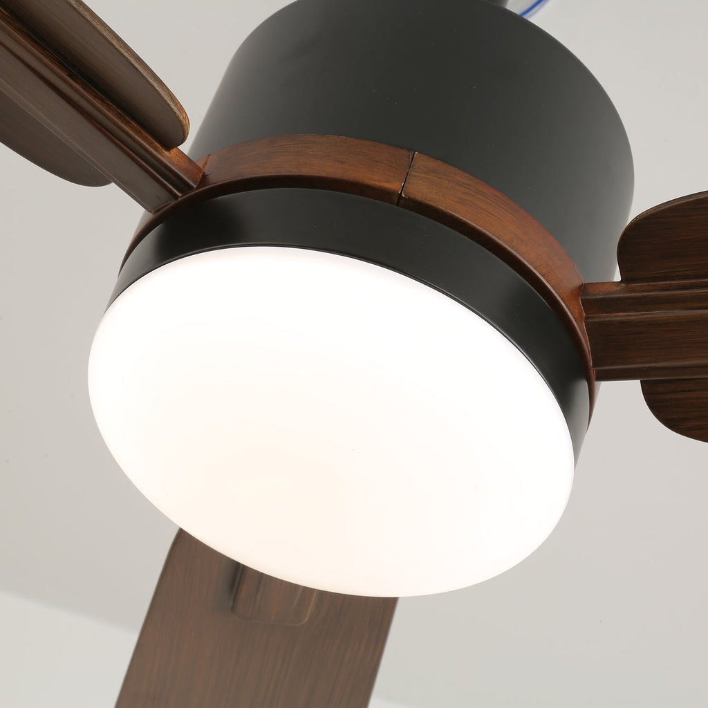 Nimora Ceiling Fan Light by FIFTH & BEAM — product view 5