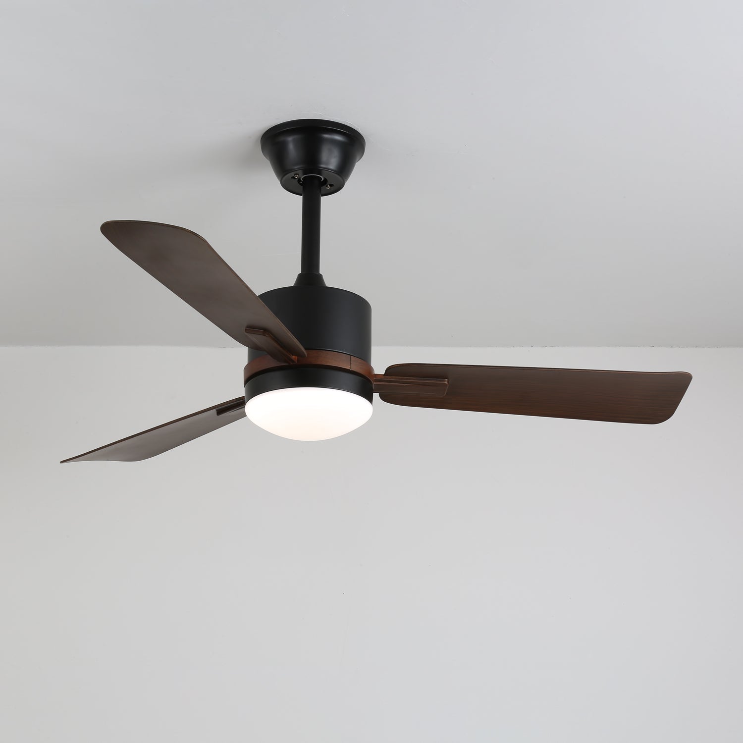 Nimora Ceiling Fan Light by FIFTH & BEAM — product view 7