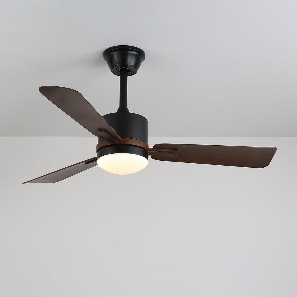 Nimora Ceiling Fan Light by FIFTH & BEAM — product view 8