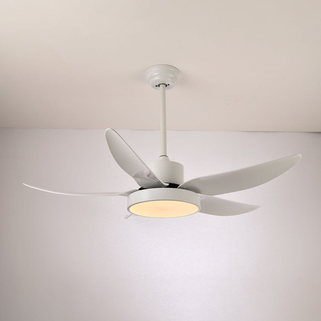 Noctura Glide Ceiling Fan Light by FIFTH & BEAM — product view 10