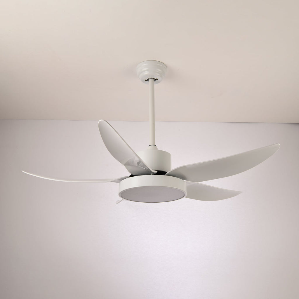 Noctura Glide Ceiling Fan Light by FIFTH & BEAM — product view 12