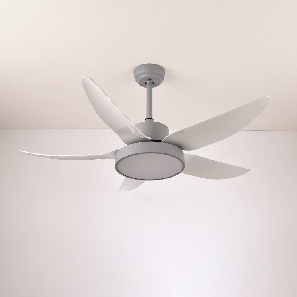 Noctura Glide Ceiling Fan Light by FIFTH & BEAM — product view 13