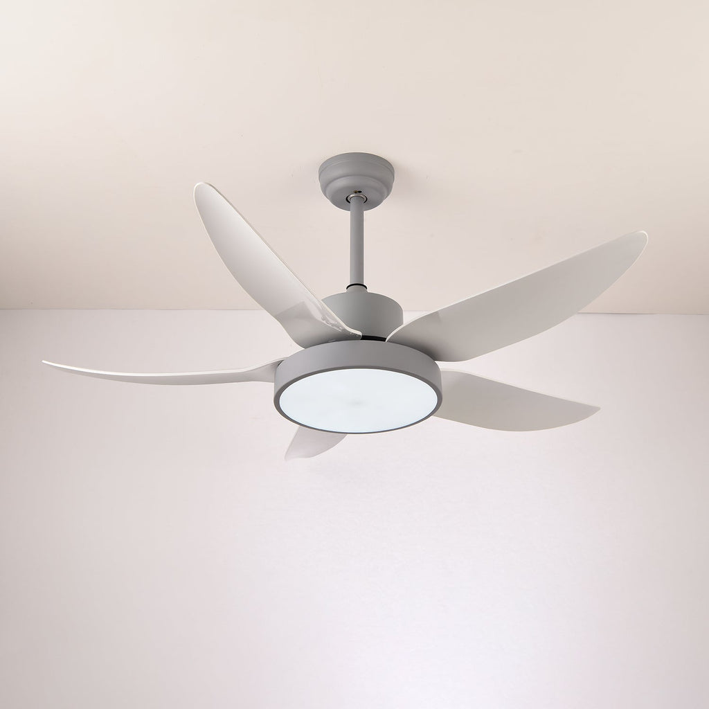 Noctura Glide Ceiling Fan Light by FIFTH & BEAM — product view 14