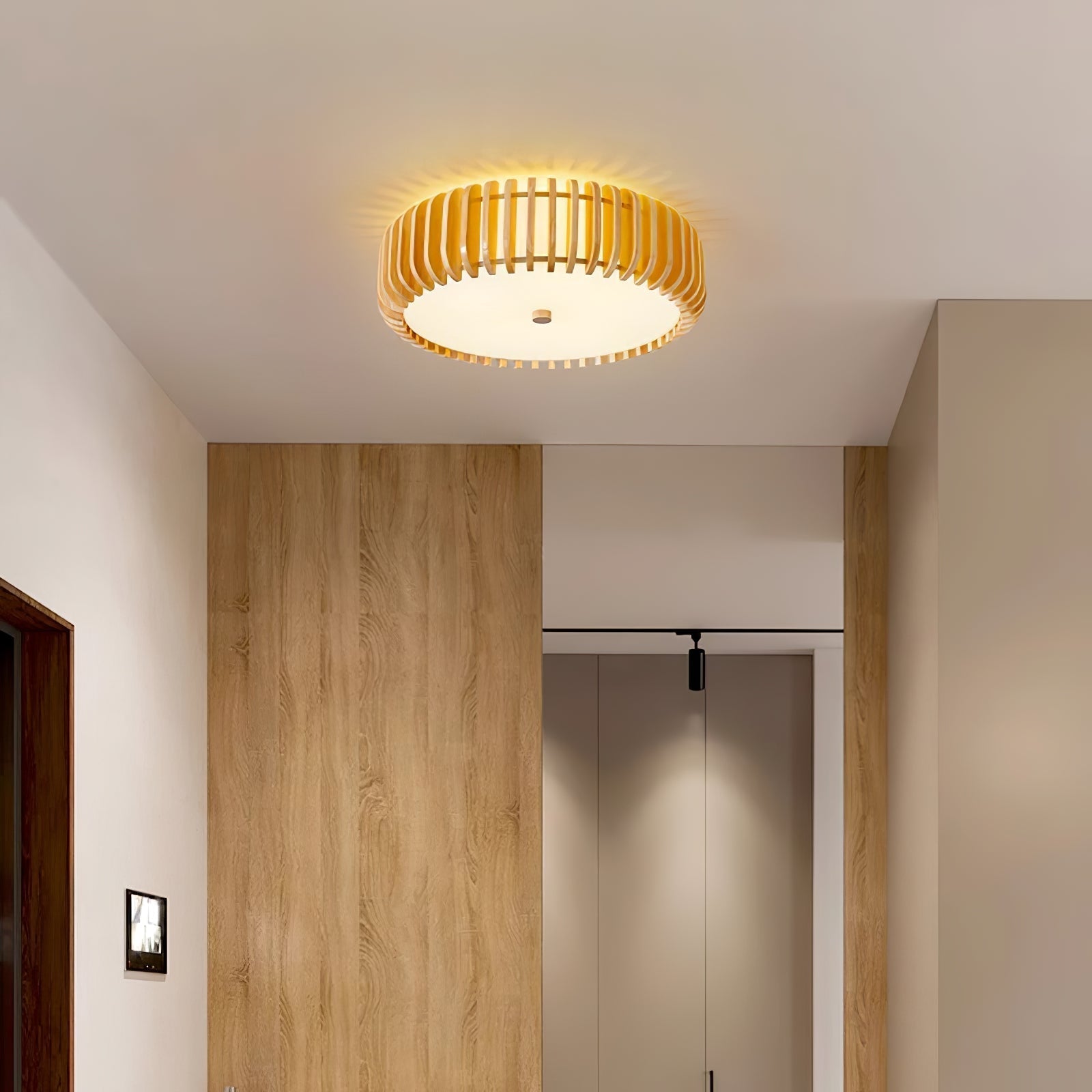 Oakflare Ceiling Lamp by FIFTH & BEAM — product view 24