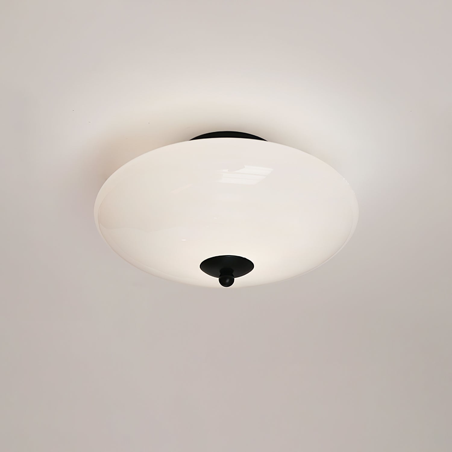 Opal Ceiling Lamp by FIFTH & BEAM — product view 23