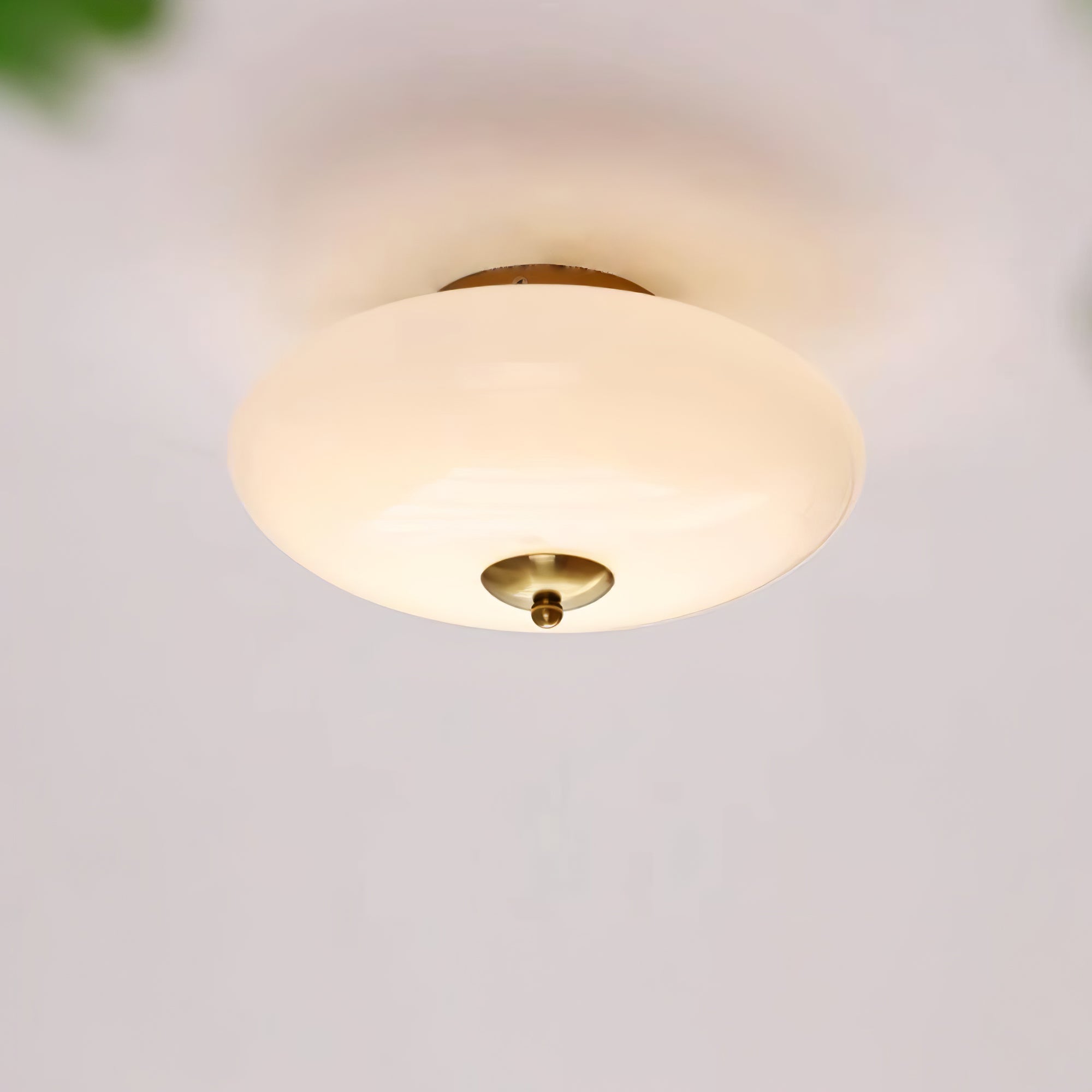 Opal Ceiling Lamp by FIFTH & BEAM — product view 7