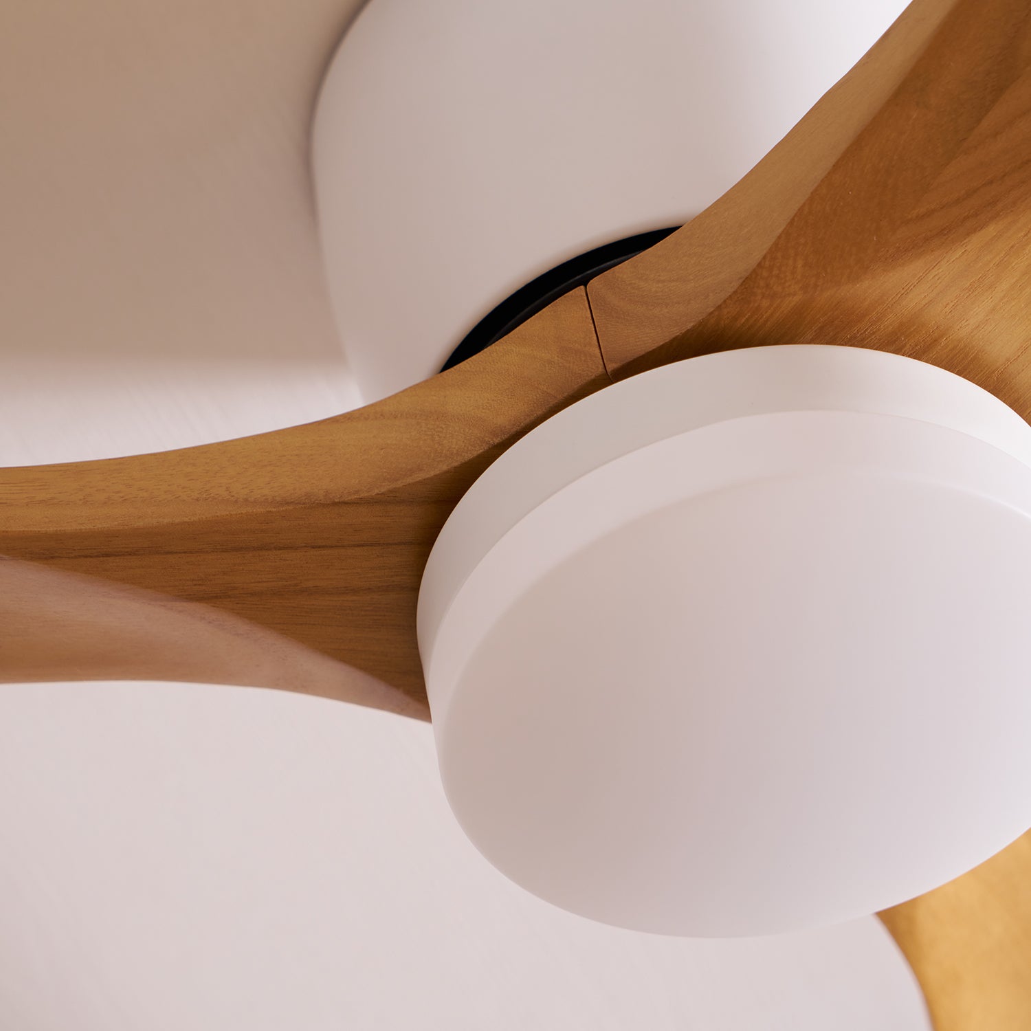 Nordic Wooden 42"/48"/52" Ceiling Fan Light by FIFTH & BEAM — product view 28