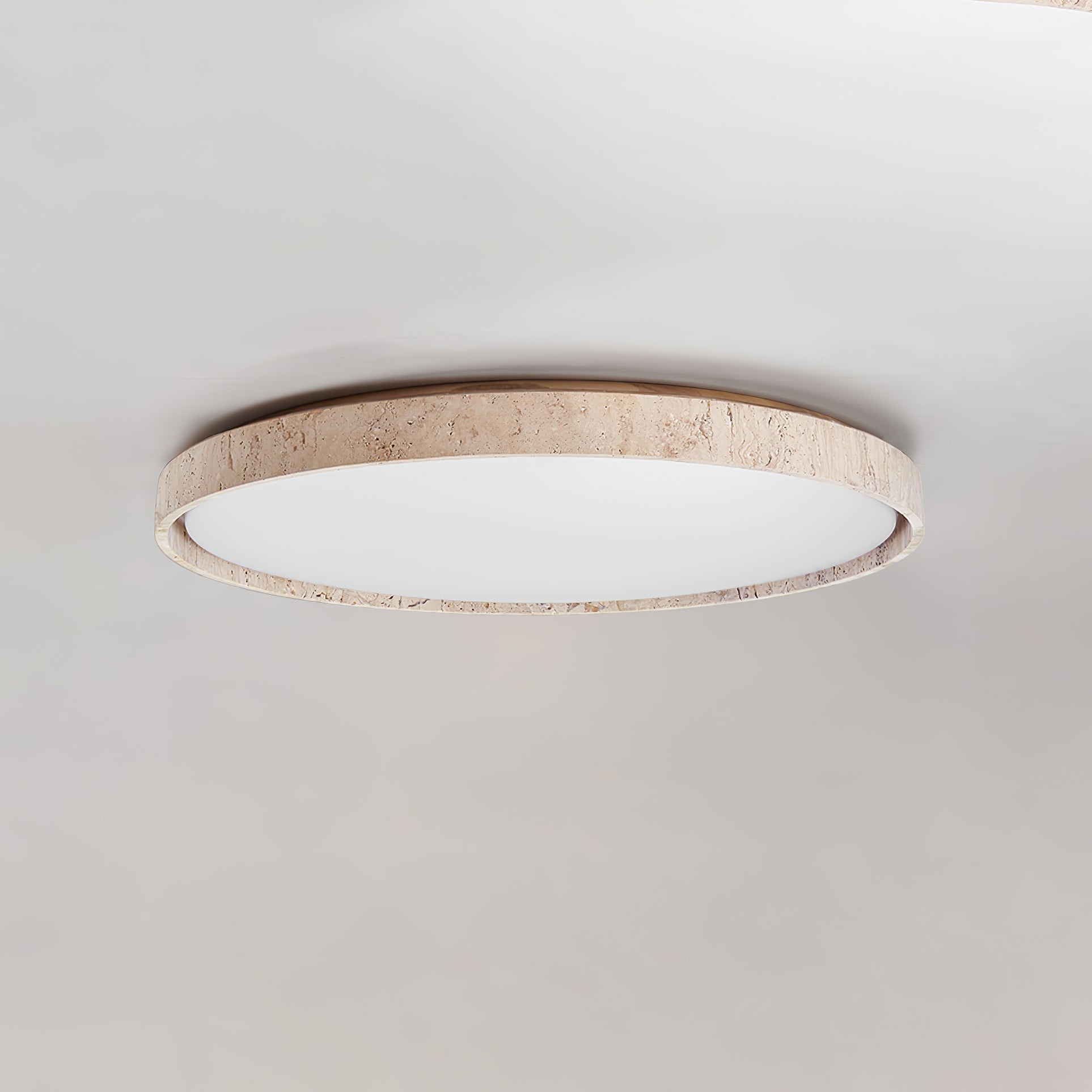 Oro Circle Ceiling Light by FIFTH & BEAM — product view 13