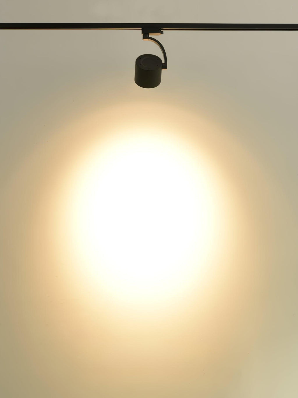 Paloma Ceiling Light by FIFTH & BEAM — product view 6