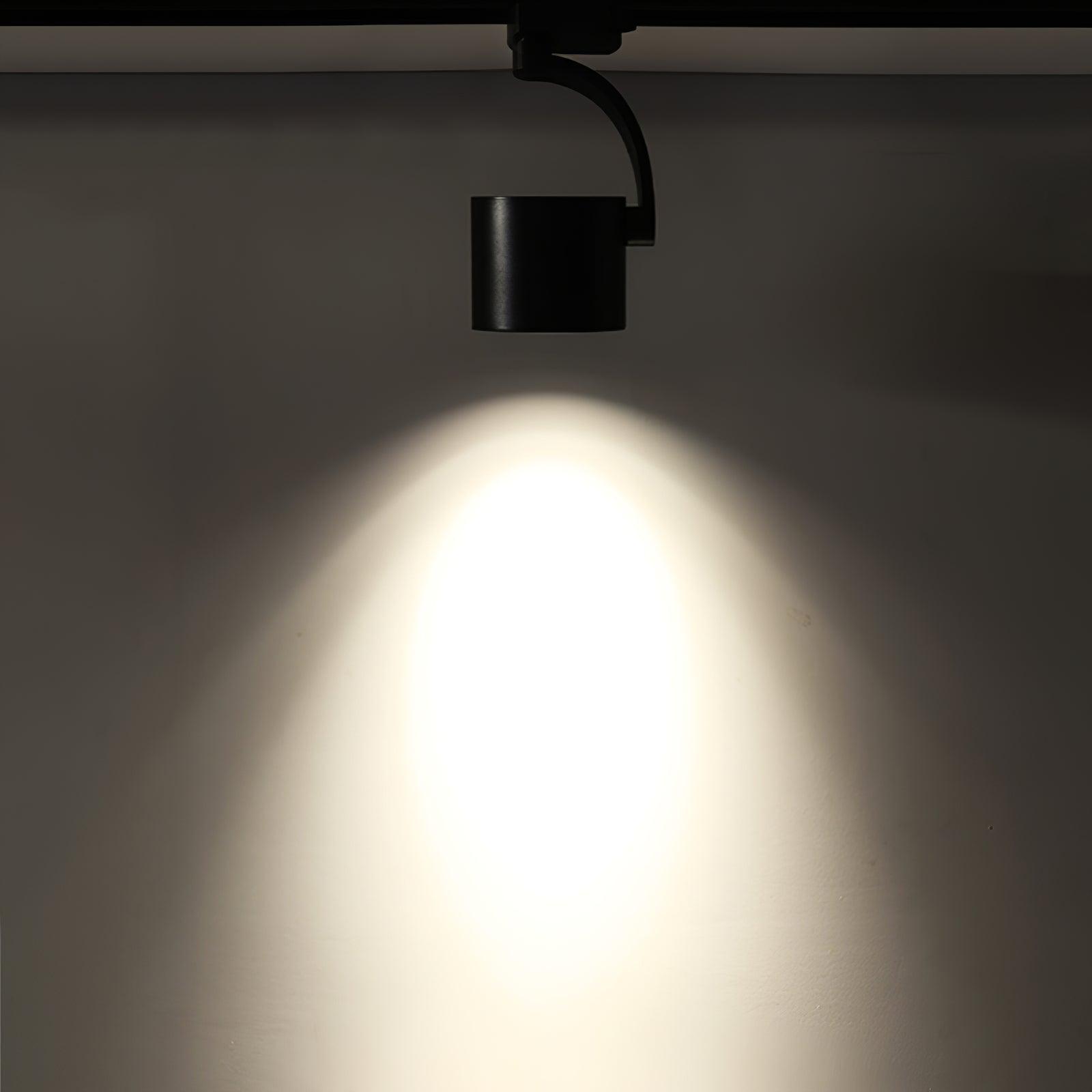Paloma Ceiling Light by FIFTH & BEAM — product view 8