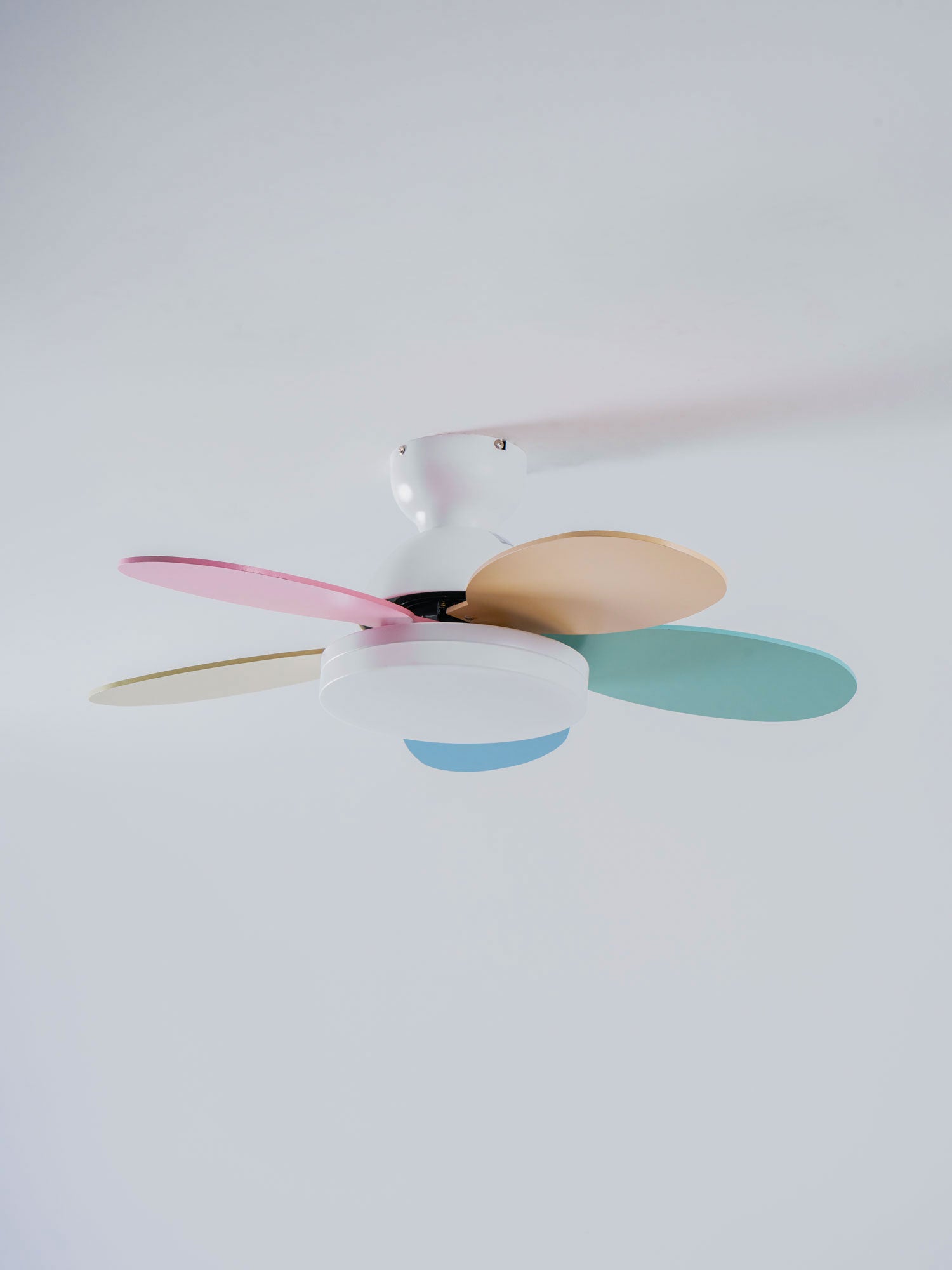 Petalo Ceiling Fan Light by FIFTH & BEAM — product view 36