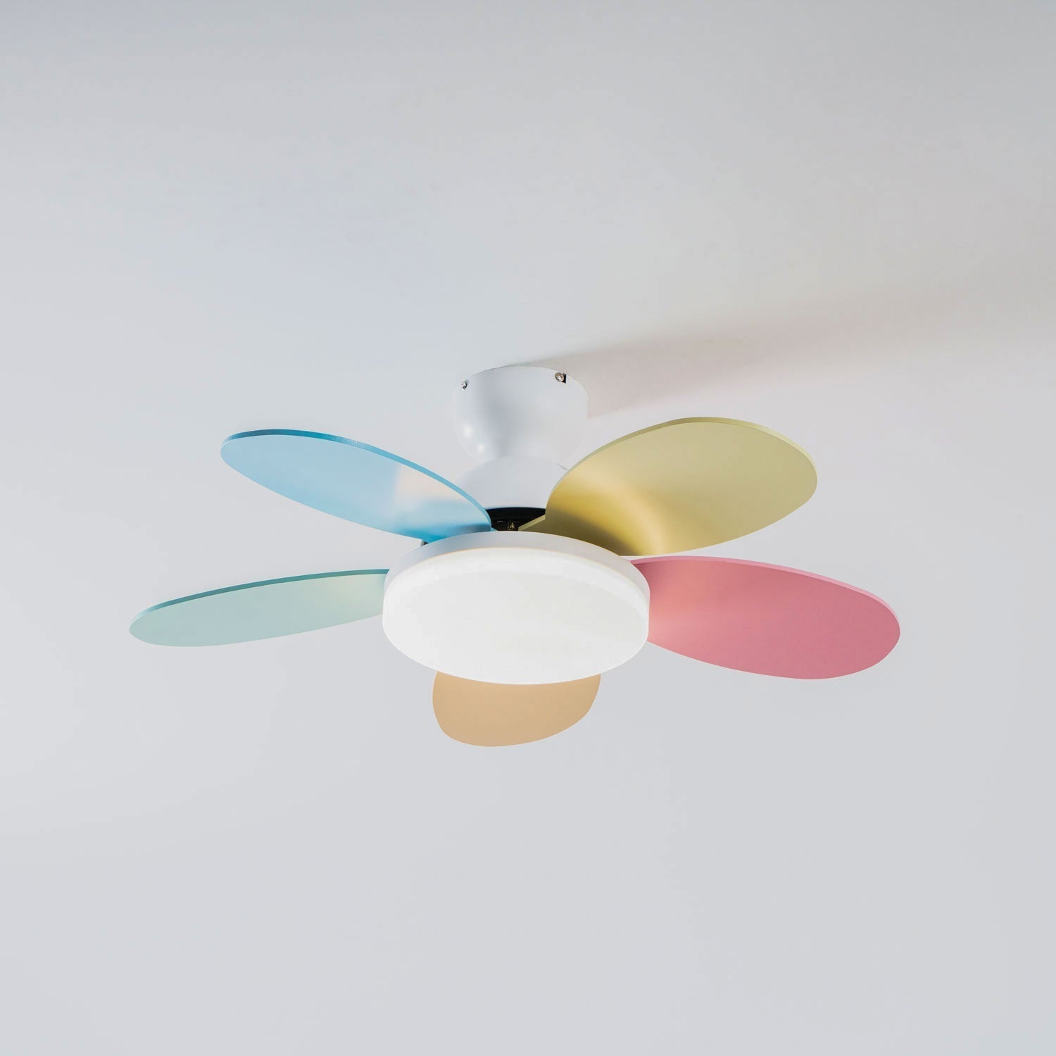 Petalo Ceiling Fan Light by FIFTH & BEAM — product view 38