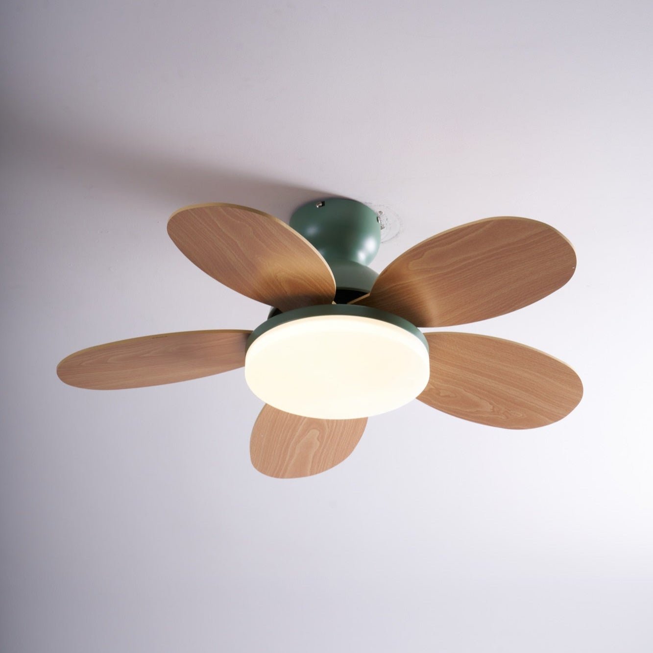 Petalo Ceiling Fan Light by FIFTH & BEAM — product view 19