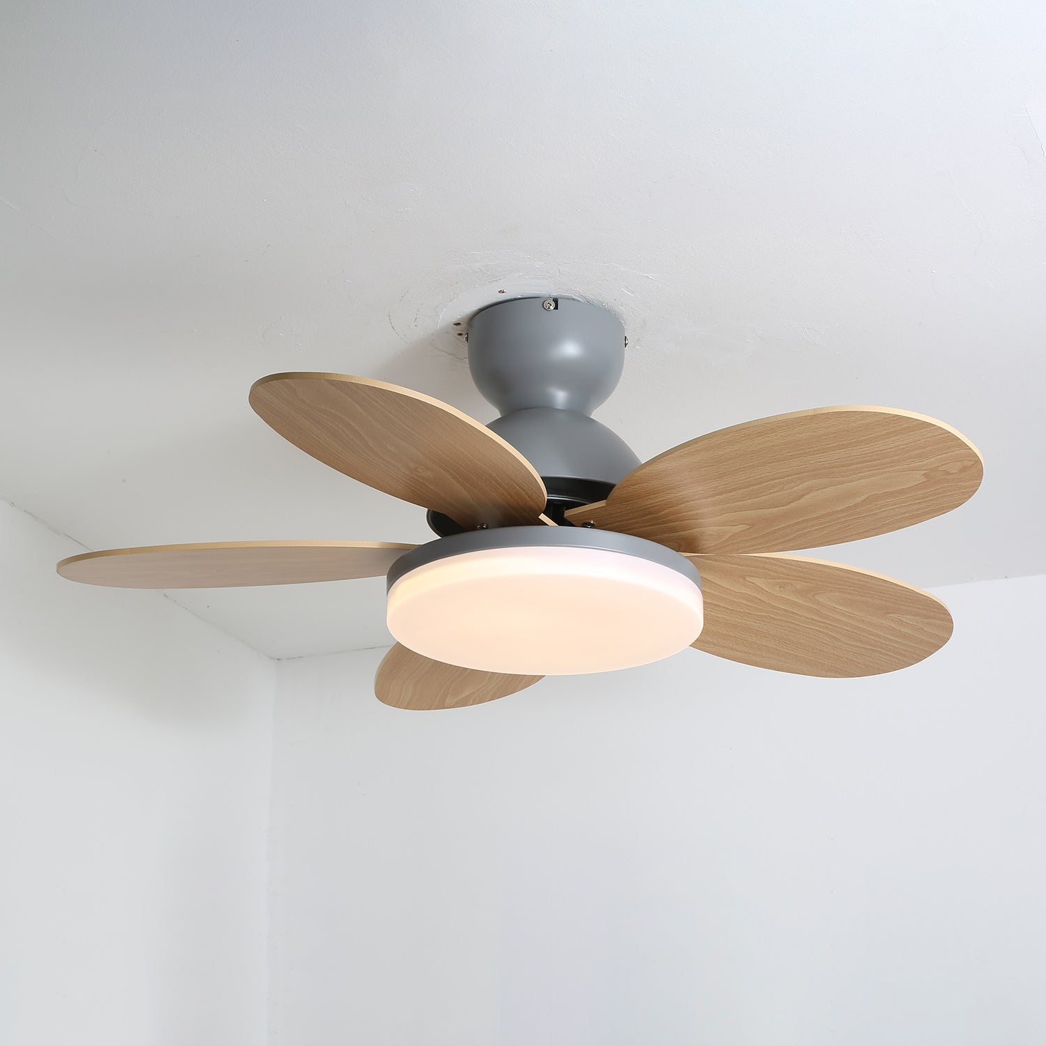 Petalo Ceiling Fan Light by FIFTH & BEAM — product view 40